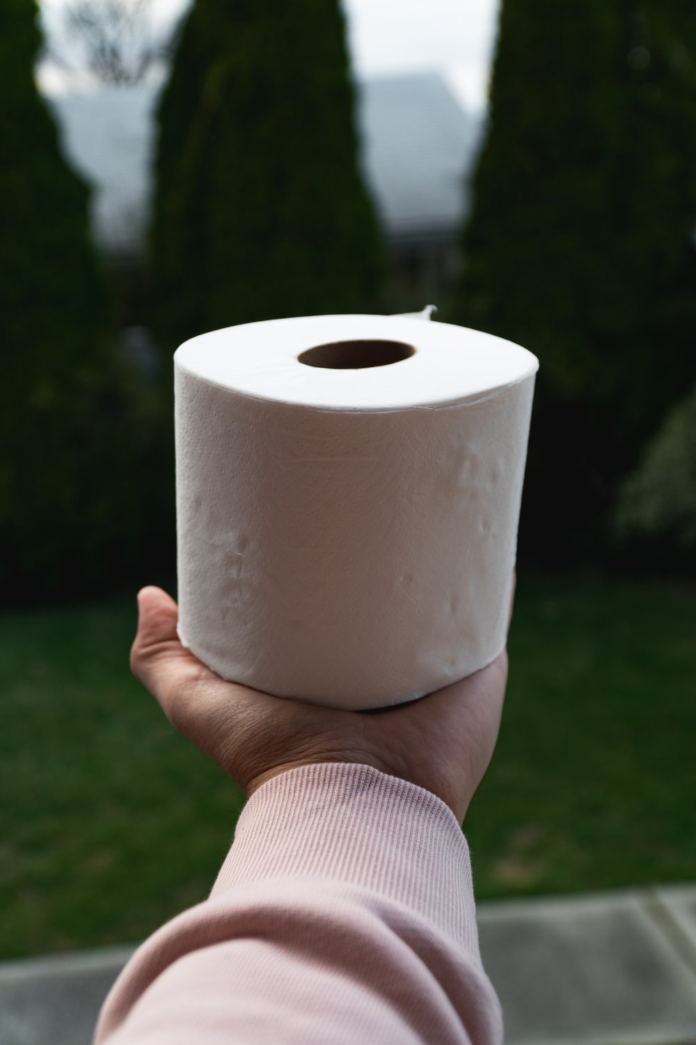 Perhaps the ultimate gift of 2020: a roll of toilet paper.